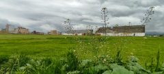 استعفای دسته جمعی اعضای هیئت فوتبال شهرستان دلفان