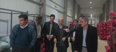 بازدید مدیر جهاد کشاورزی لرستان از سردخانه دلفان