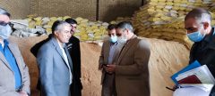 بازدیدفرماندار دلفان از بازارچه میوه و نحوه توزیع نهاده های دامی