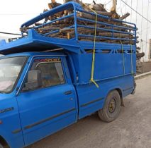کشف چوب جنگلی قاچاق در دلفان