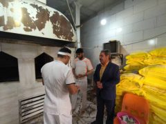 بازدید سر زده بخشدار مرکزی شهرستان دلفان