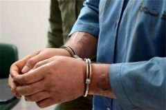 دستگیری سارق حرفه ای در دلفان*  