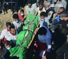 فوت کشاورز ازنانی بر اثر سقوط درخت