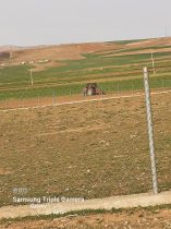 هجوم سیب زمینی کاران غیر بومی به شهرستان دلفان