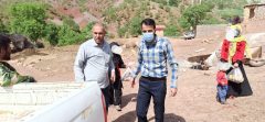 توزیع بسته های غذایی بین اقشار محروم میربگ شهرستان دلفان