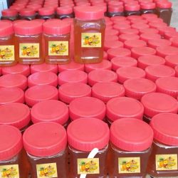 ۲۸۰۰ تن عسل در لرستان تولید می‌شود