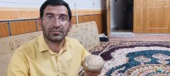 درج کلمه الله بر روی قارچ خوراکی