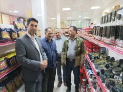 مانور سراسری بازرسی و نظارت بر بازار کالاهای اساسی کشاورزی در دلفان