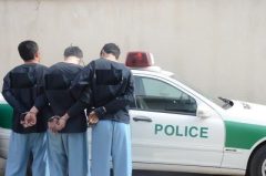 دستگیری سارقان در دلفان