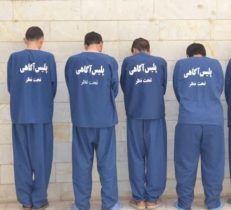 کشف ۲۲ فقره سرقت در دلفان