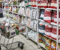 توزیع ۴ هزار تن برنج در لرستان