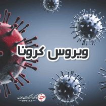 احتمال ورود موج کرونا به کشور