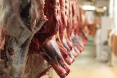 قاچاق و کمبود عرضه دام موجب گرانی گوشت