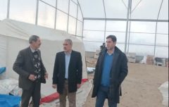 بازدید فرماندار از گلخانه شهرستان دلفان