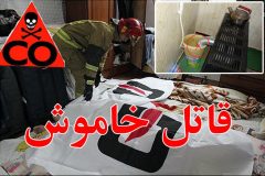 یک گشته و ۳ مصدوم بر اثر گاز گرفتگی