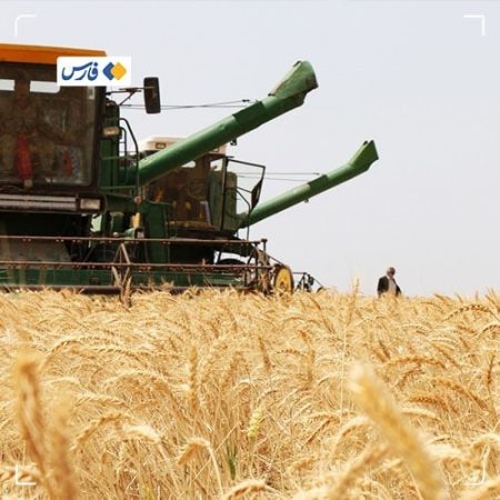 پیش بینی تولید ۳۲۰ هزار تن گندم در لرستان
