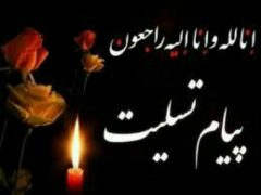 فرماندار دلفان داغدار شد
