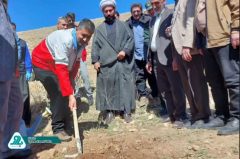 کاشت نهال ۲۰۰ نهال توسط جوانان جمعیت هلال احمر