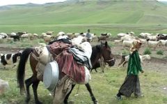 تهدید مراتع با کوچ زود هنگام
