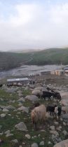 نبود پل ارتباطی و تردد با تراکتور