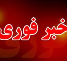 دستگیری قاتل در کمتر از ۴۸ ساعت
