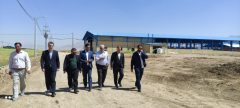 بازدید رئیس دادگستری دلفان از گاوداری ۶ هزار رأسی